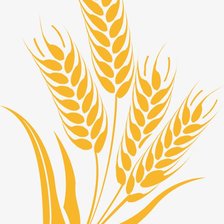 Схема вышивки «Пшеница»