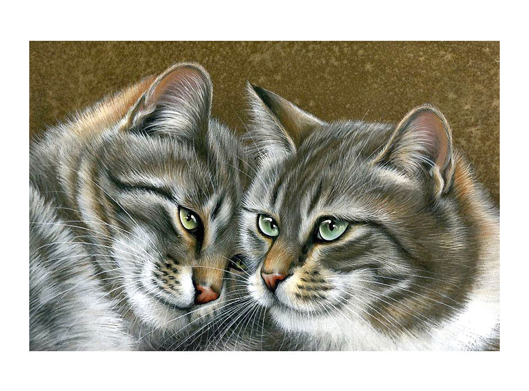 Родственные котики - животные, коты, кошки - оригинал