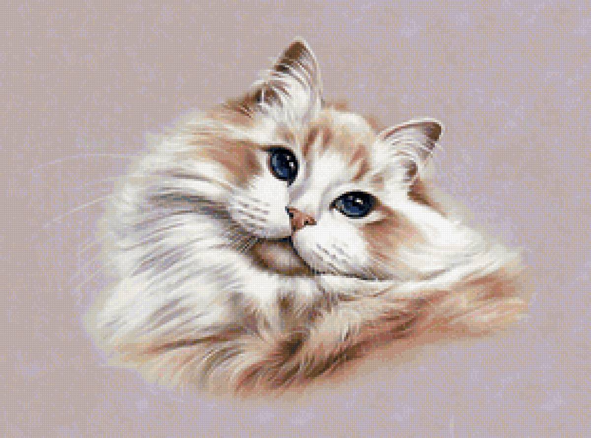 Киска - кошки, животные, коты - предпросмотр