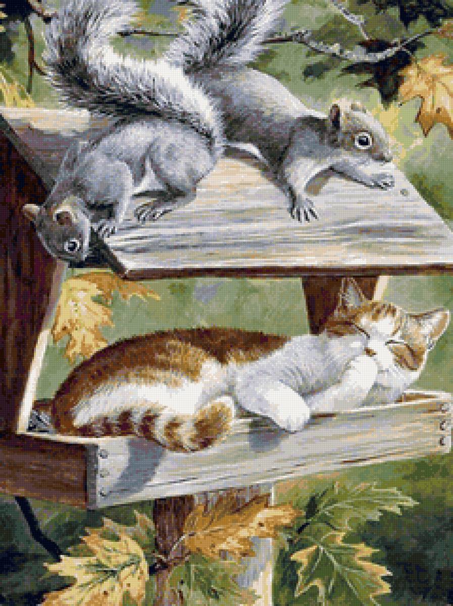 Кот-аккупант - коты, кошки, животные, кормушка, белки - предпросмотр