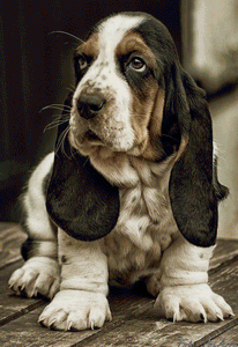 друзья - предпросмотр