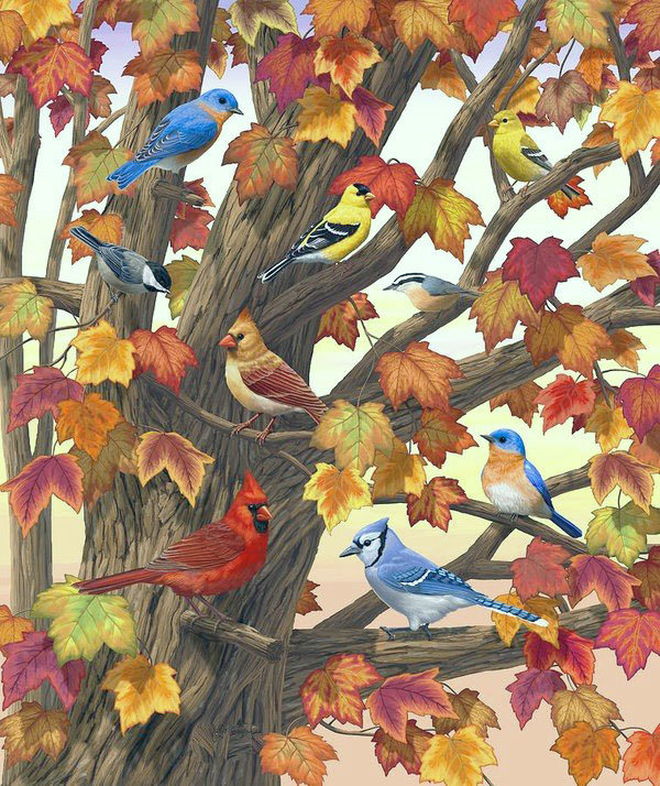 Птичий базар - дерево, птицы, листья, осень - оригинал