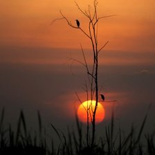 Схема вышивки «закат»