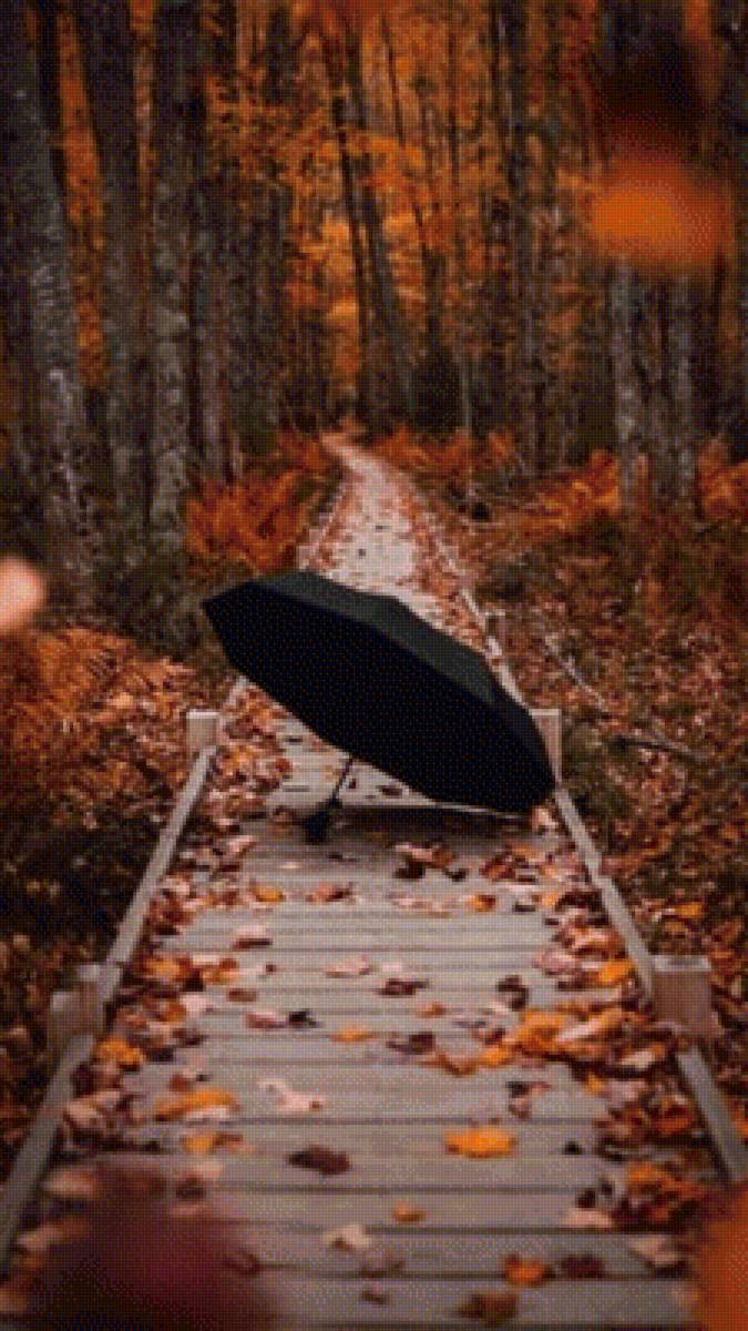 дорога - лес, зонт, осенний лес, дорога - предпросмотр