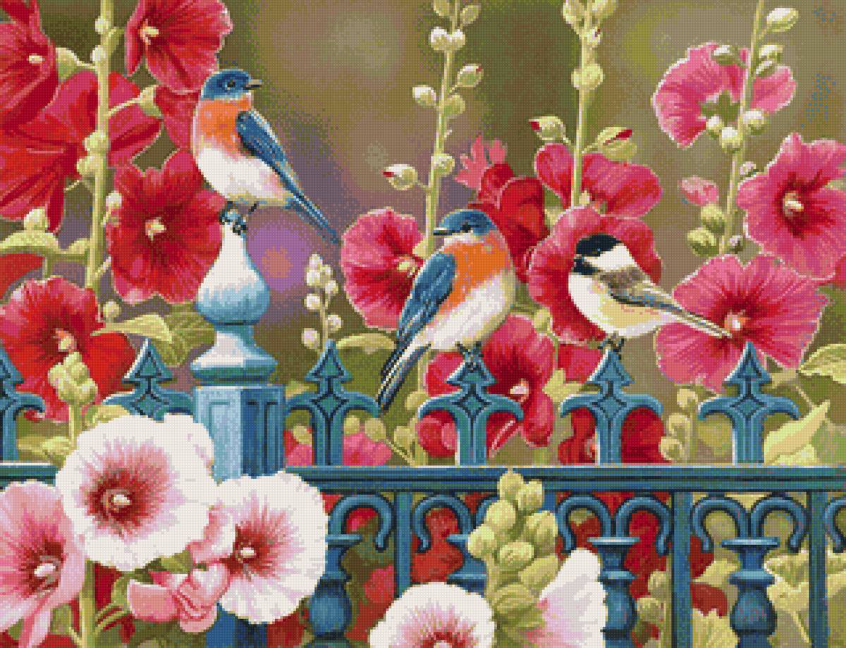 Птички в мальвах - лето, цветы, мальвы, птички - предпросмотр