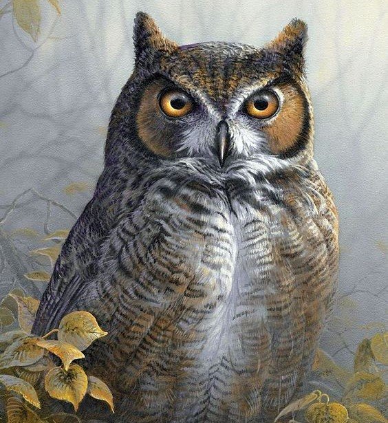 птицы - оригинал