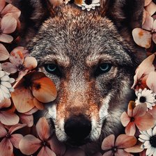 Схема вышивки «№2080161»