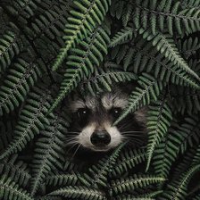 Схема вышивки «№2080168»