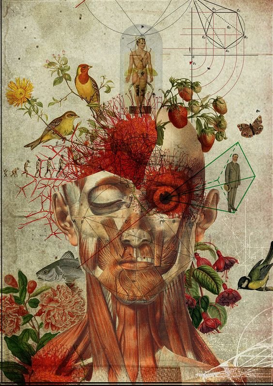 №2080182 - оригинал