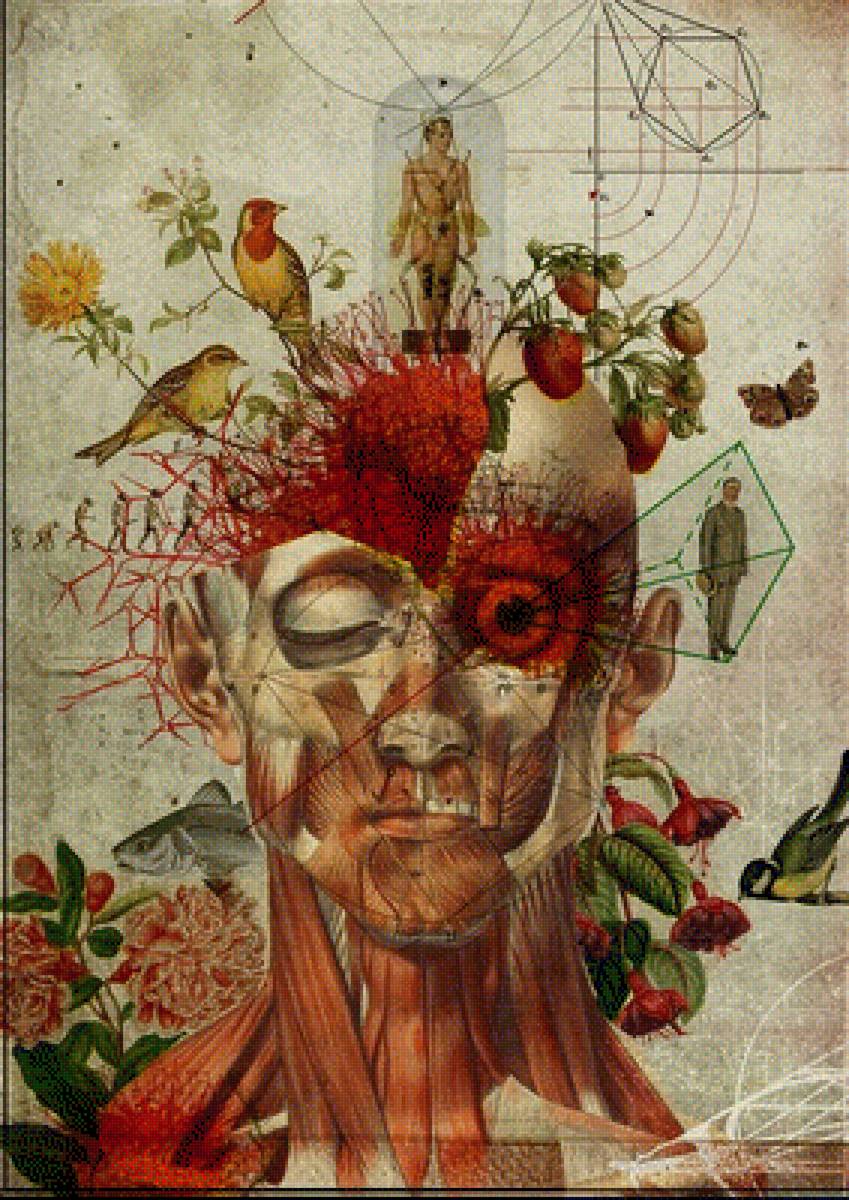 №2080182 - предпросмотр