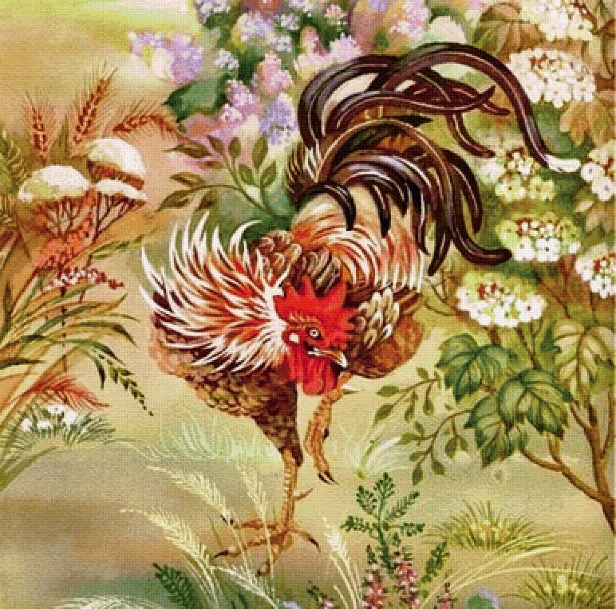 kohut - предпросмотр