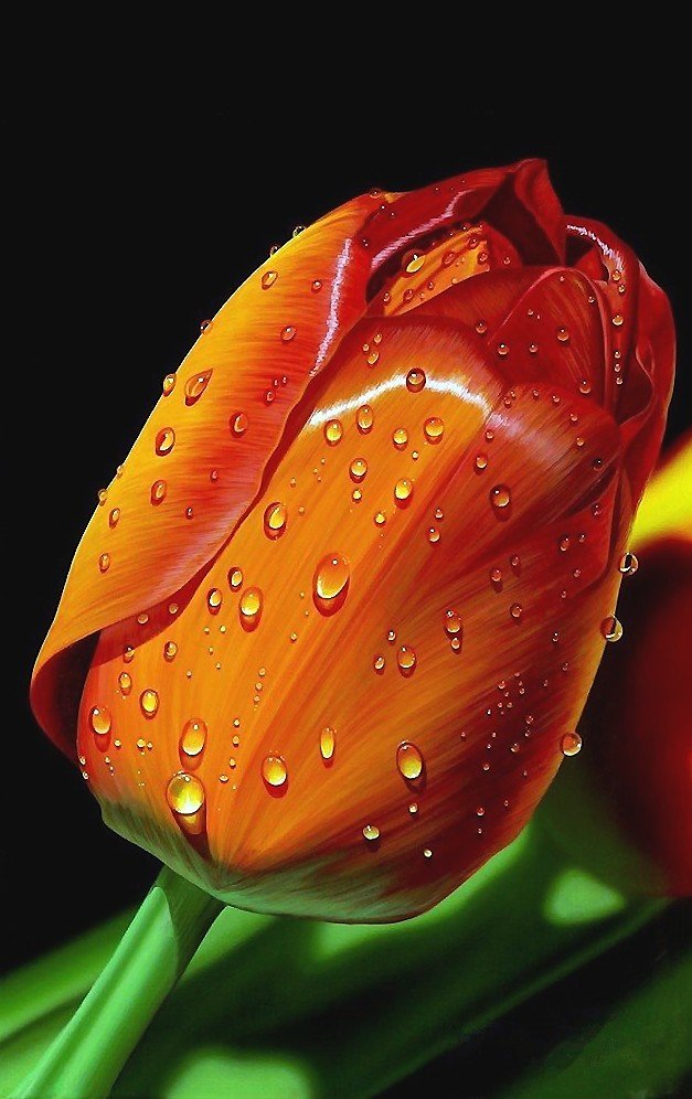 №2080565 - оригинал