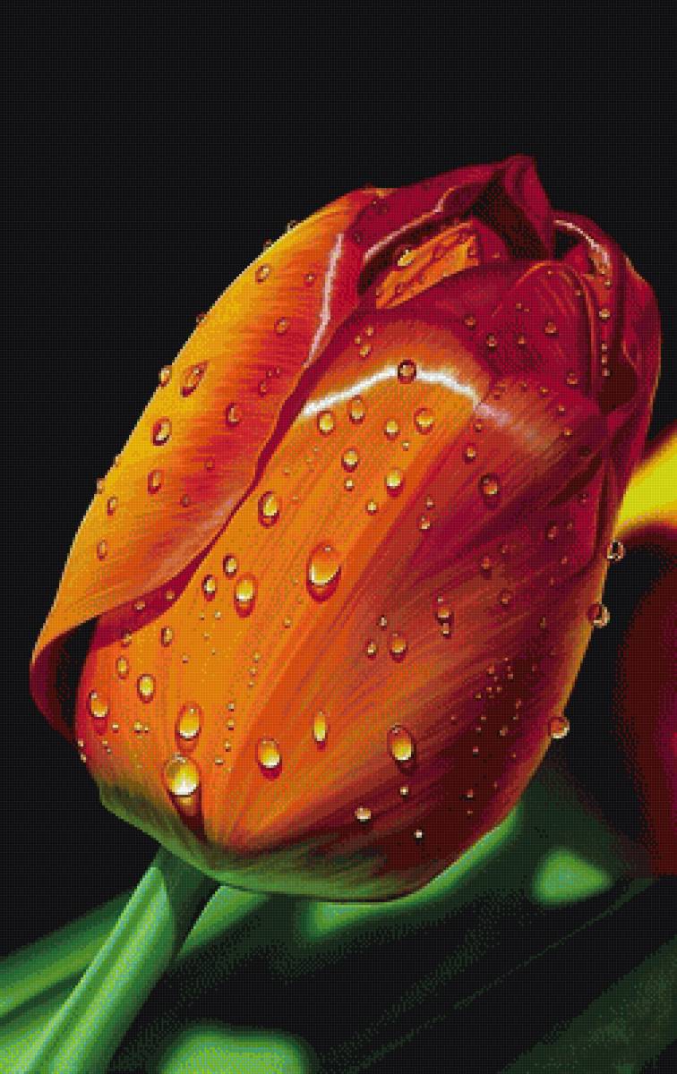 №2080565 - предпросмотр