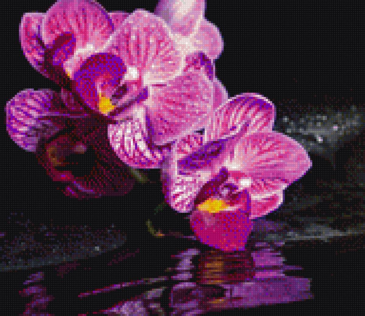 орхидеи - цветы, орхидея, черная канва - предпросмотр