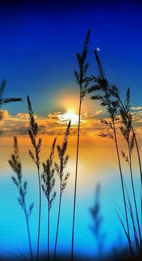 Тишина - небо, облака, солнце, закат - оригинал