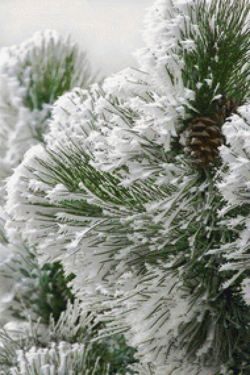 Зима - лес, елка, снег, зима - предпросмотр