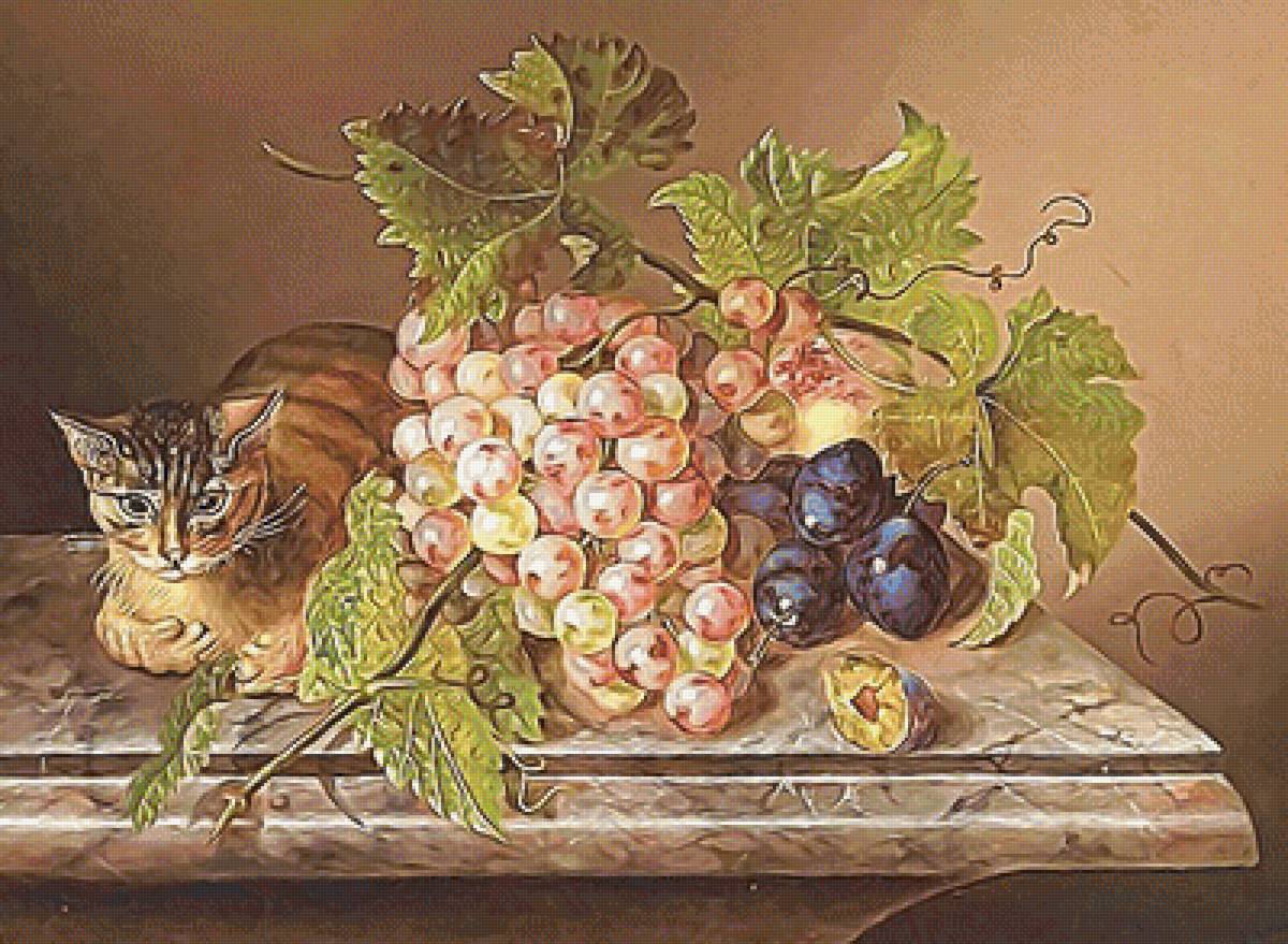 №2081404 - виноград, сливы, натюрморт, кот - предпросмотр