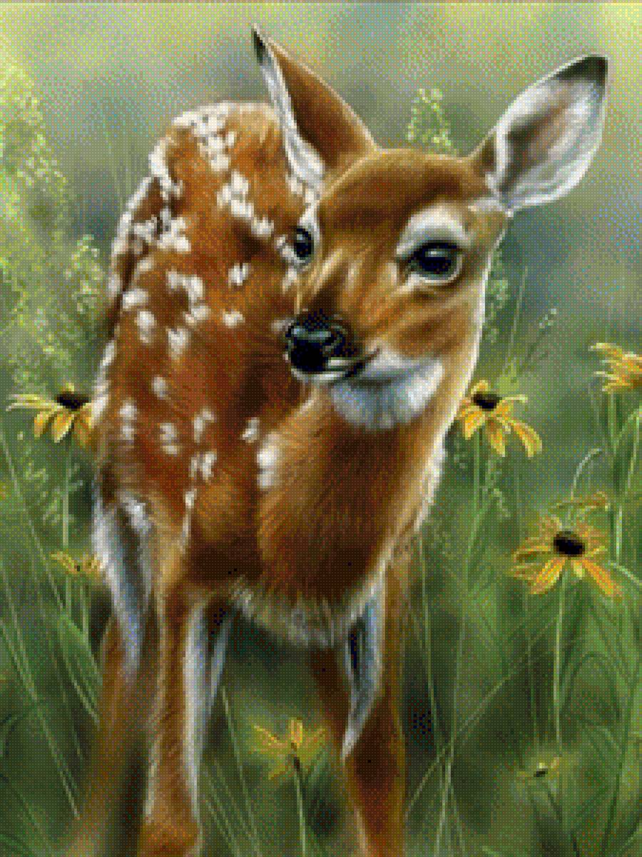 Олененок - животные, природа, олень - предпросмотр