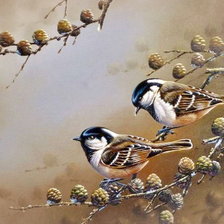 Схема вышивки «Птички на ветке»