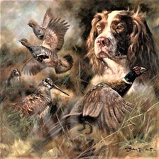 Схема вышивки «№2082021»