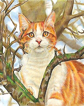 рыжик - ветки, кот - оригинал