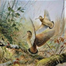 Схема вышивки «№2083067»