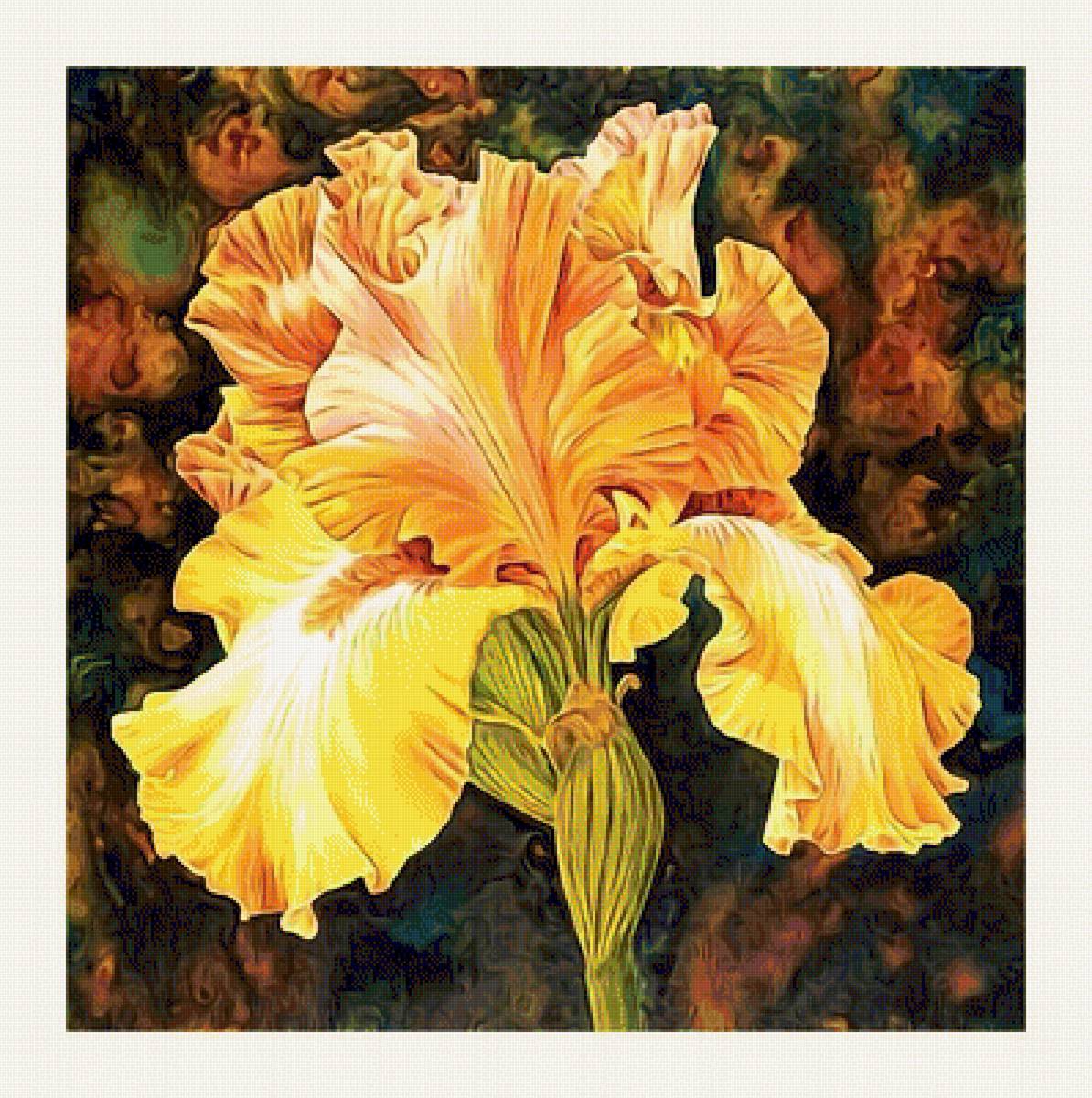 FLOR - предпросмотр