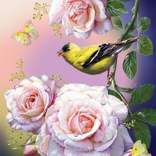 Схема вышивки «птицы цветы розы»