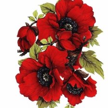 Схема вышивки «маки»