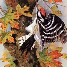 Схема вышивки «птица»