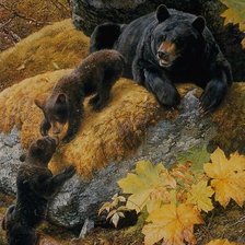 Схема вышивки «медседи»