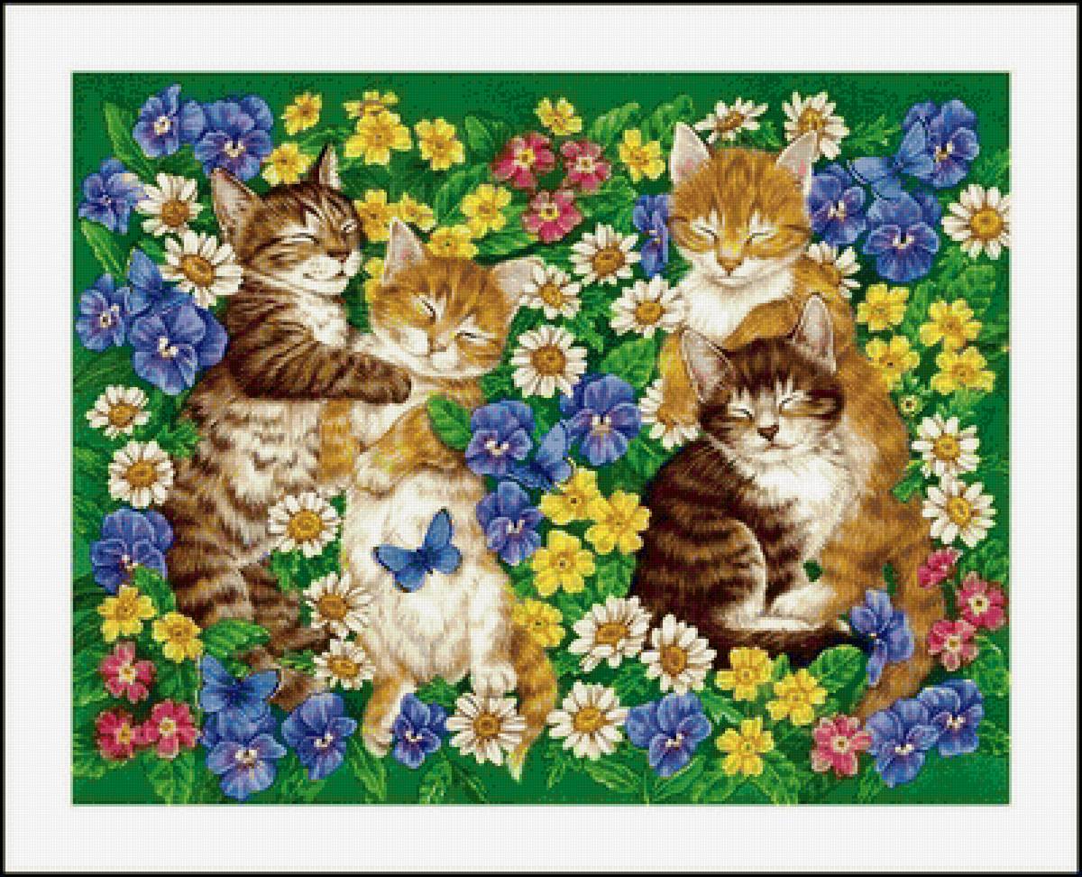 Котята - котята, животные, цветы - предпросмотр