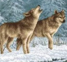 Схема вышивки «№2084994»