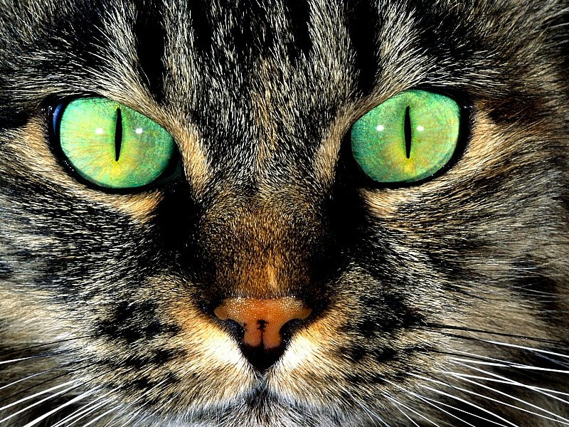 №2085045 - оригинал