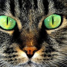 Схема вышивки «№2085045»