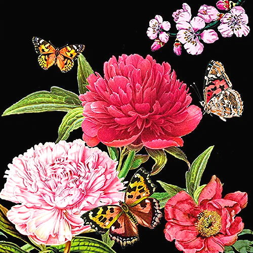 Весенние цветы - белые цветы, пион, весенние цветы, бабочки, розовые цветы, пионы - оригинал