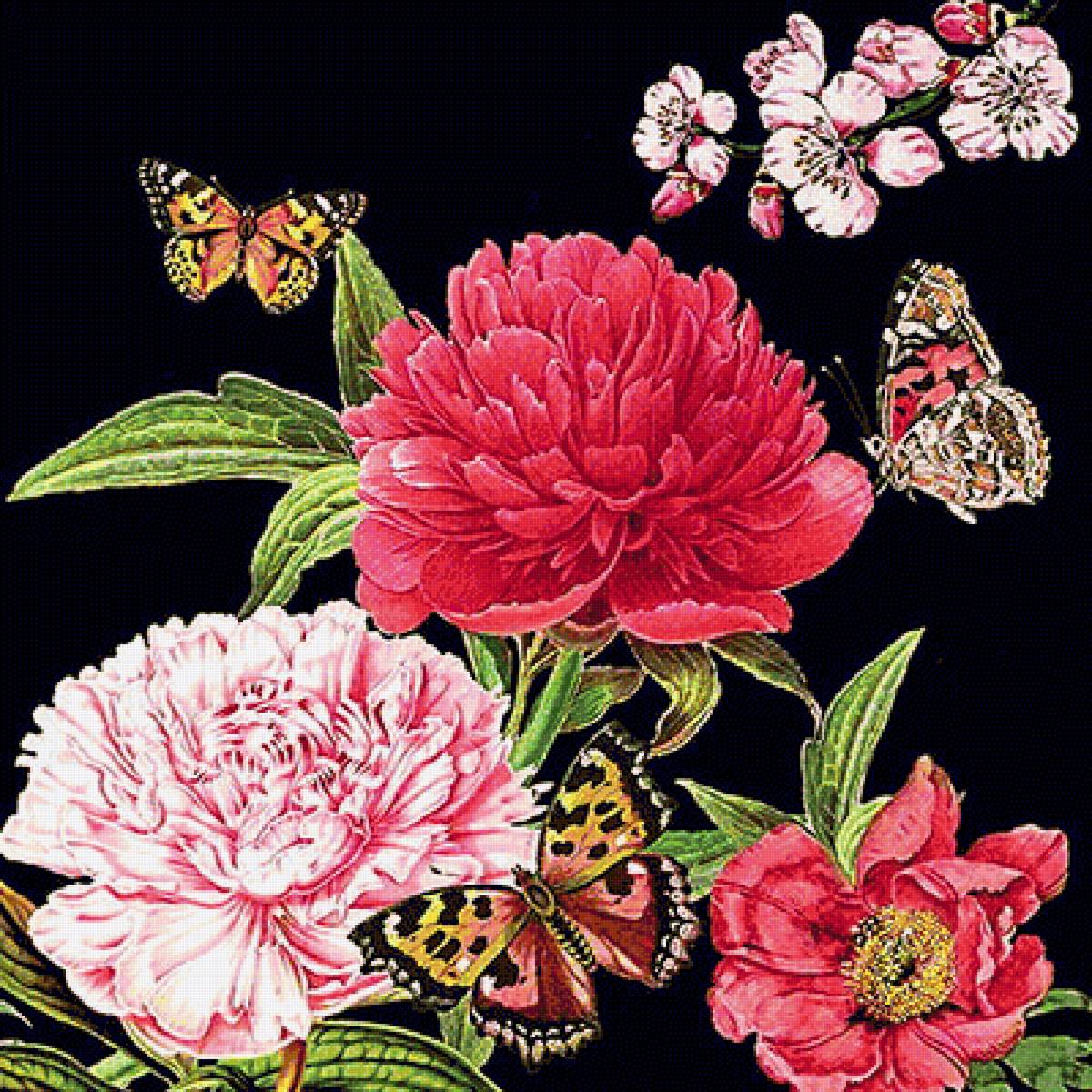 Весенние цветы - пион, весенние цветы, бабочки, розовые цветы, белые цветы, пионы - предпросмотр