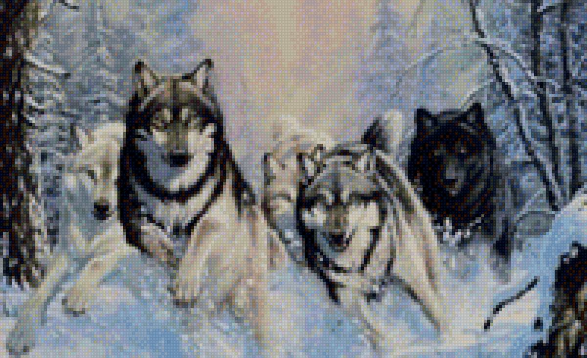 Волки - предпросмотр