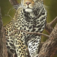 Схема вышивки «леопард»