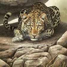 Схема вышивки «леопард»