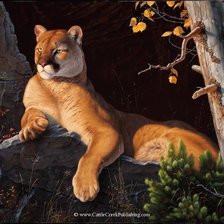 Схема вышивки «дикая кошка»