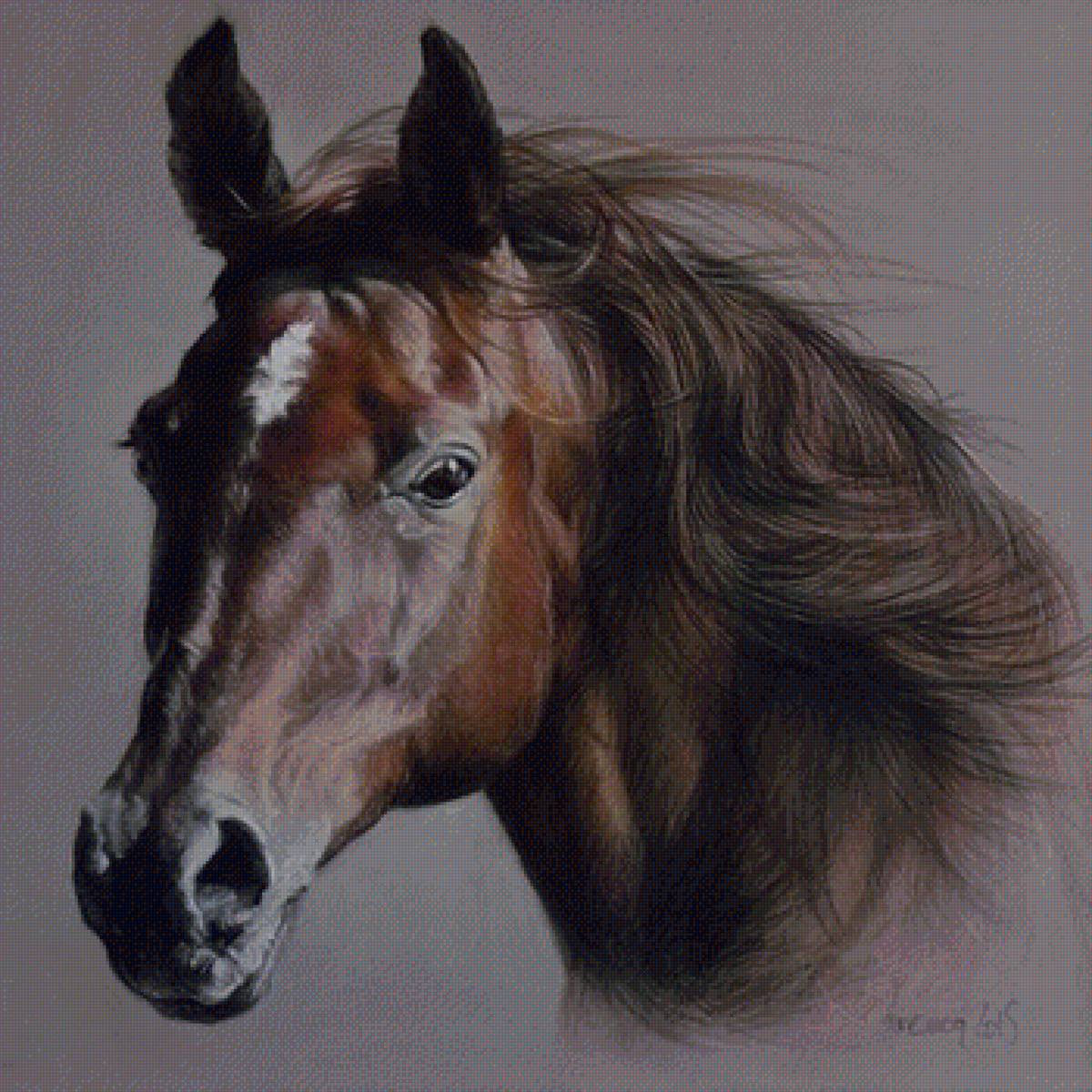 портрет гнедого - животные, художники, лошади - предпросмотр