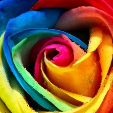 Схема вышивки «Роза»