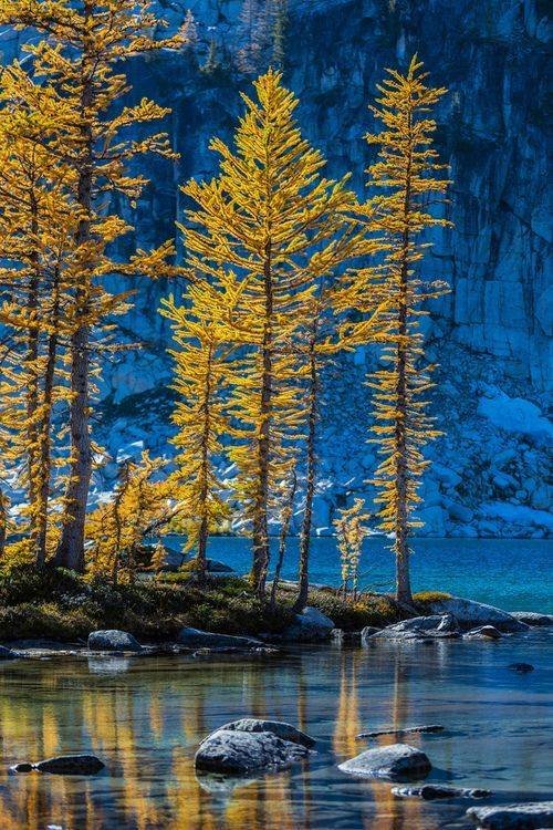 природа - горы, деревя, река, лес - оригинал