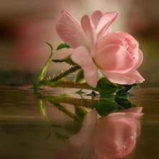 Схема вышивки «отражение»