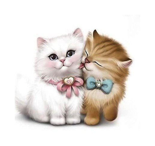 котята - котята - оригинал