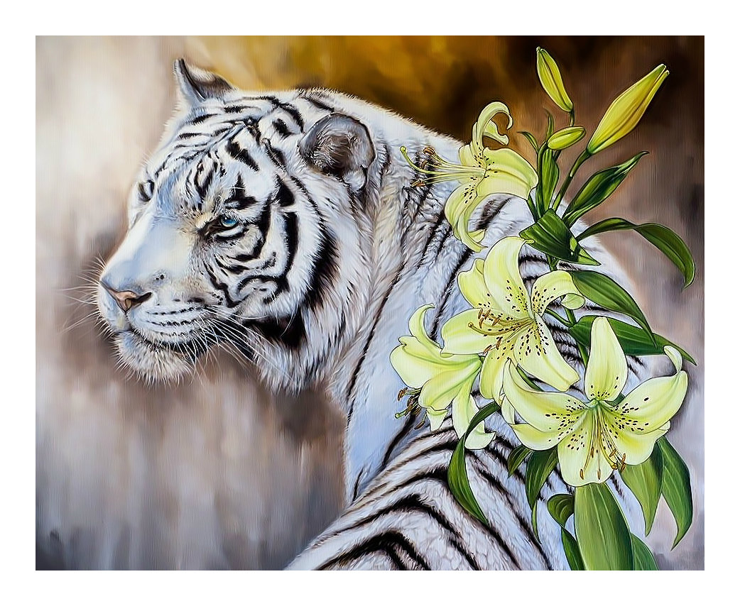Белый тигр. - хищник, животные, живопись, тигр, цветок, лилия, взгляд - оригинал