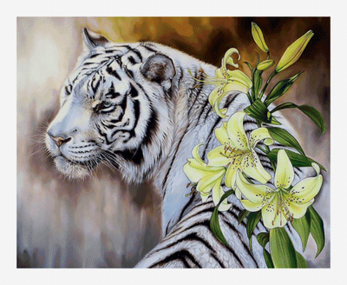Белый тигр. - хищник, цветок, живопись, животные, взгляд, лилия, тигр - предпросмотр