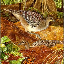 Схема вышивки «Птицы»