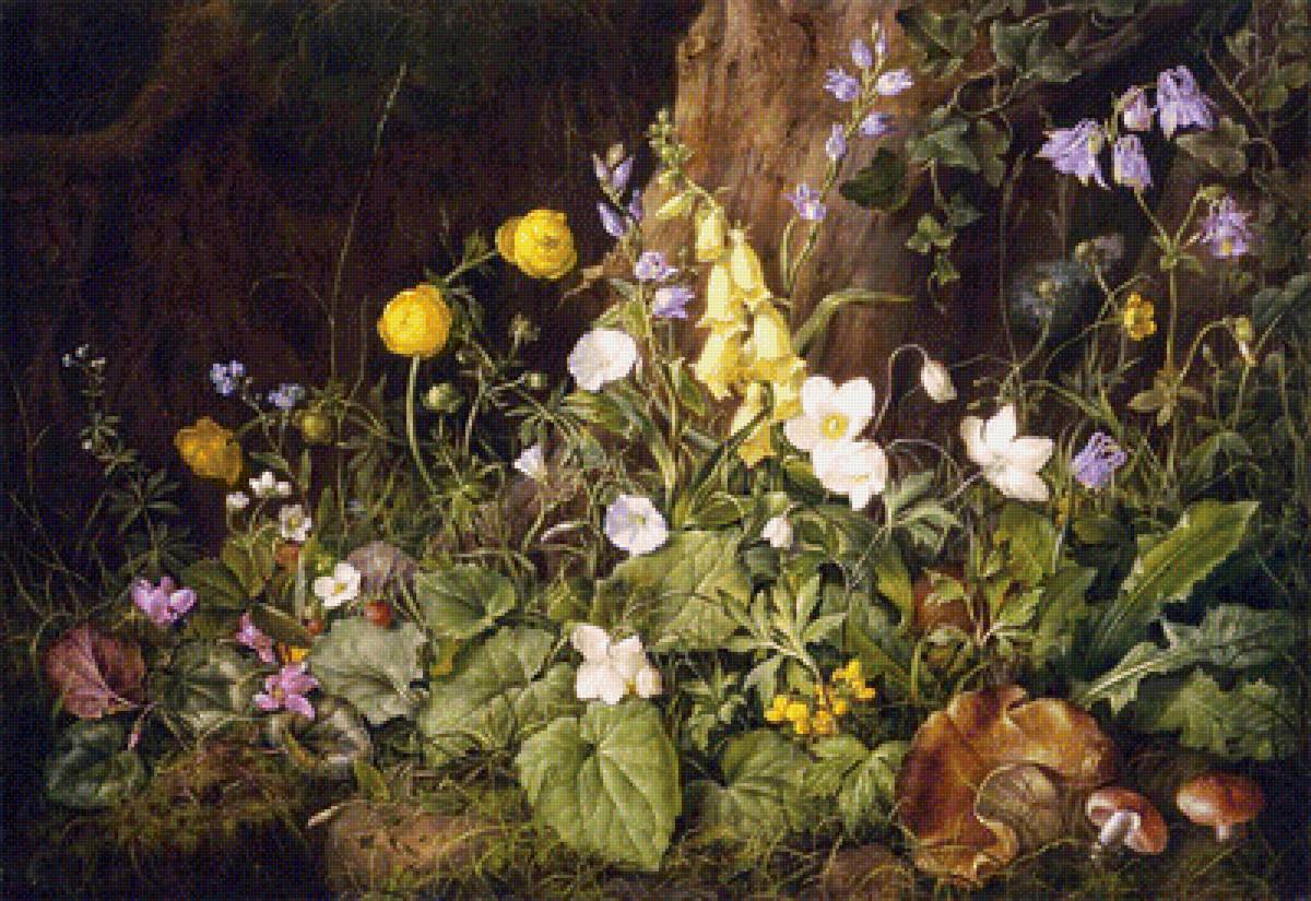 Травы - предпросмотр